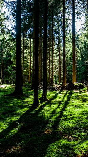 带你吃瓜呀!截图4