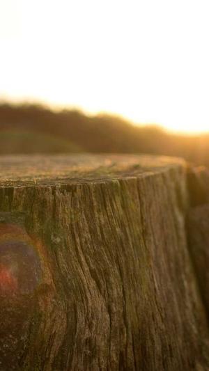 孕妇吃哈密瓜可以吗截图3