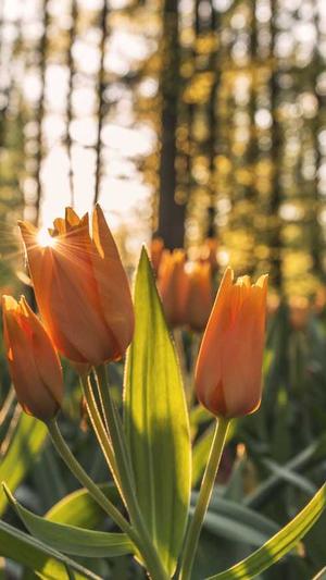 权志龙黑料截图1