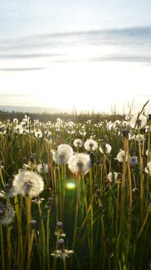 国产吃瓜视频网站截图3