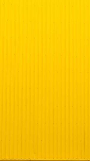 白瓜孕妇可以吃吗截图3