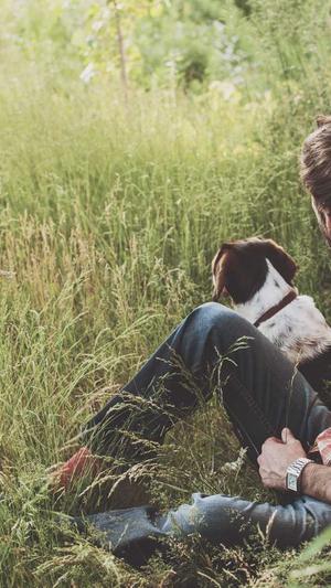 哈密瓜和猕猴桃能一起吃吗截图1