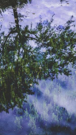 龚俊的黑料截图5