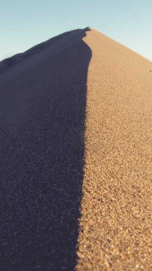 章子怡黑料截图5