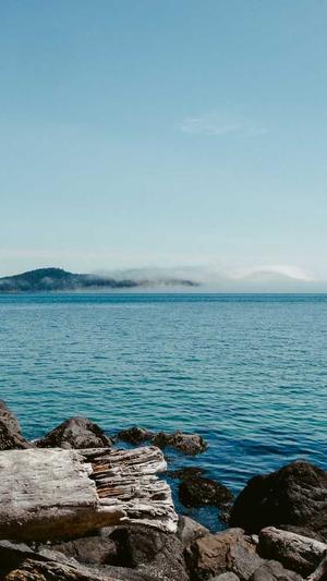 哺乳期可以吃哈密瓜吗截图3