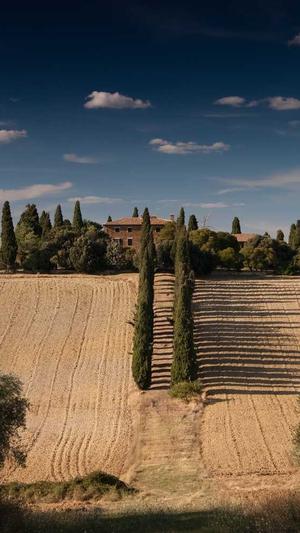 黑料不打烊tttzzz可乐门截图1