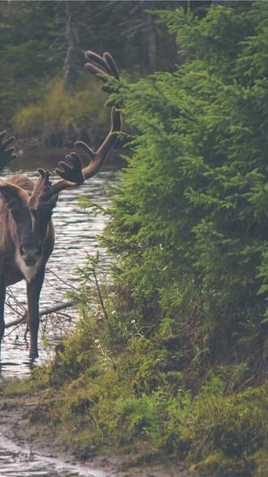 毕雯珺黑料截图3