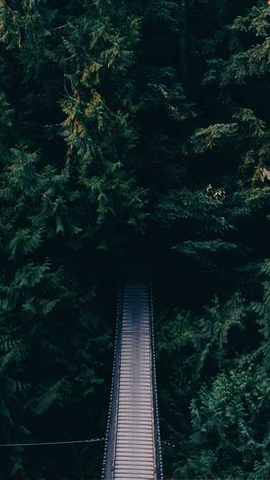 24小时吃瓜黑料截图5