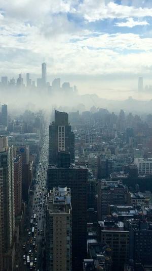 哈密瓜和猕猴桃能一起吃吗截图2