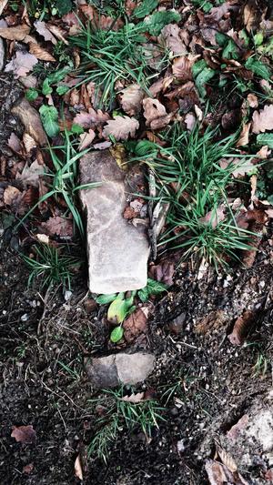 哈密瓜几月份吃截图4