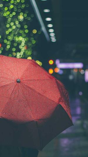 张天爱黑料截图2