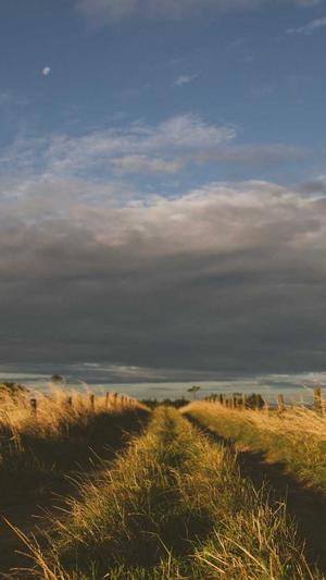 娱乐圈吃瓜爆料肖战截图1