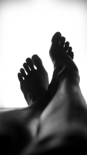 狗可以吃哈密瓜吗截图1