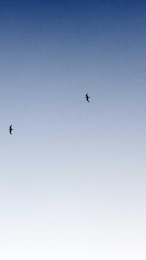 吃瓜视频是怎么来的截图2