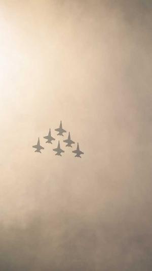 黑料指的是什么截图2