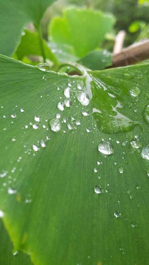 吃瓜网黑料社截图2