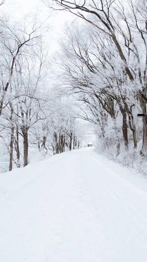 黑料吃瓜网址截图2
