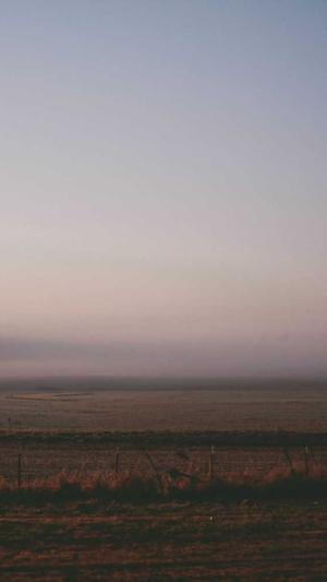 和田玉黑青料截图3