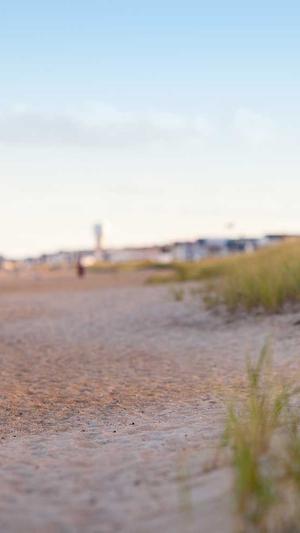 小仙若黑料截图2