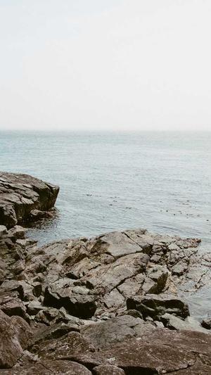 黑料网最新地址截图1