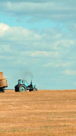 黑料吃瓜网截图1