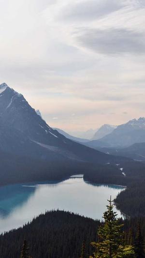 来月经可以吃梨瓜吗截图3