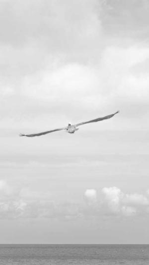 黑料吃瓜资源截图1