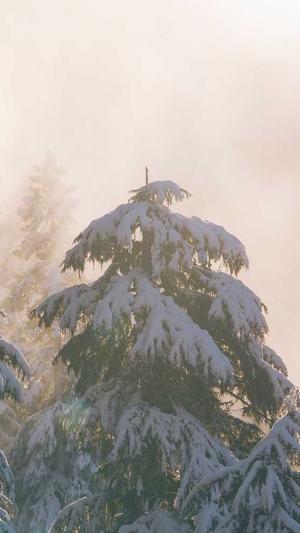 ccgg51今日吃瓜截图2