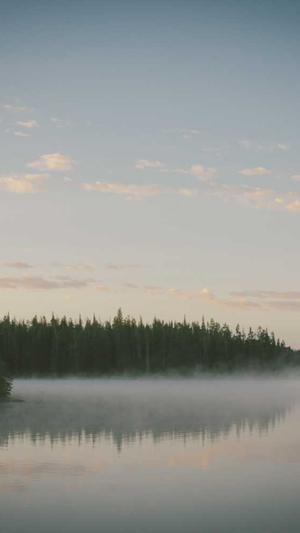 哈密瓜和猕猴桃能一起吃吗截图3