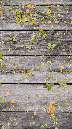 哈密瓜几月份吃截图2