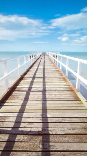 上火可以吃哈密瓜吗截图4