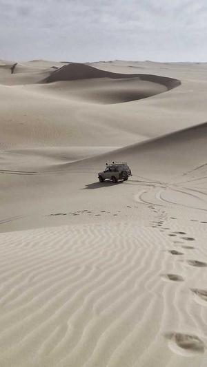 大白在吃瓜截图2