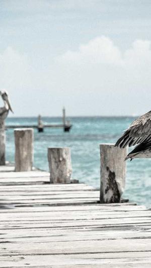 91吃瓜黑料截图3