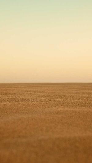 孕妇晚期可以吃哈密瓜吗截图2