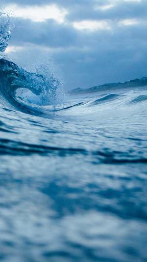 戴燕妮黑料截图3